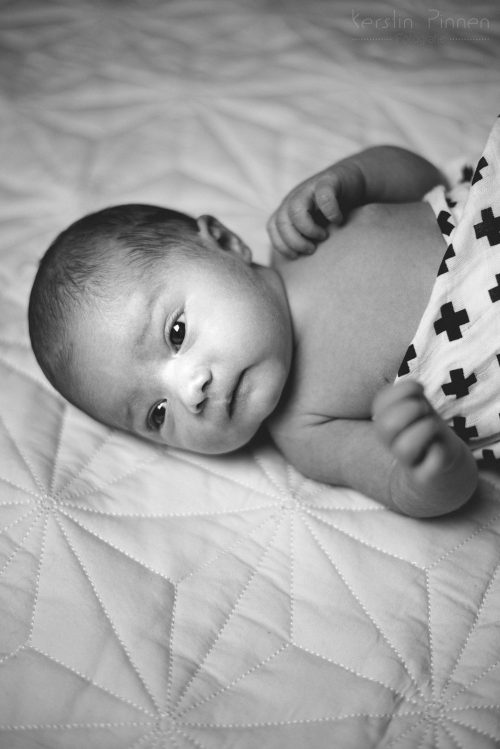 Newborn-Fotos Thea